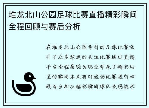 堆龙北山公园足球比赛直播精彩瞬间全程回顾与赛后分析